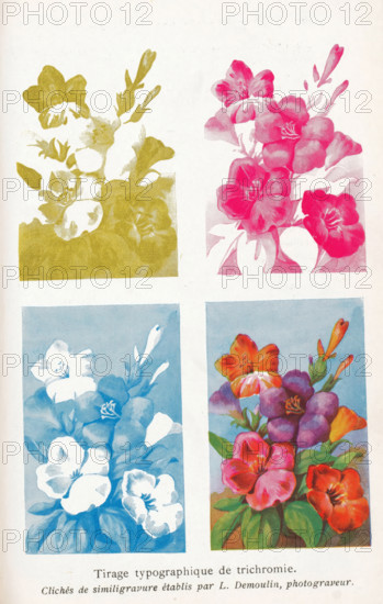 Four photoreproductions of a print of a flower arrangement in different colors, Tirage typographique de trichromie, reproduction, page, photomechanical print, maker: L. Demoulin, after print by anonymous, c. 1922 - in or before 1932, after print by, paper, autotype, height 152 mm x width 100 mm, photography, The image shows a page with four rectangular floral prints arranged in a grid, each depicting a stylized bouquet of blossoms and leaves in different single or combined colors on a pale background, with the top left print in a muted olive tone, the top right in a vivid pink, the bottom left in a cool blue, and the bottom right in a multicolored composition featuring warm reds, purples, oranges, and green leaves, and there is a line of printed text below the images.