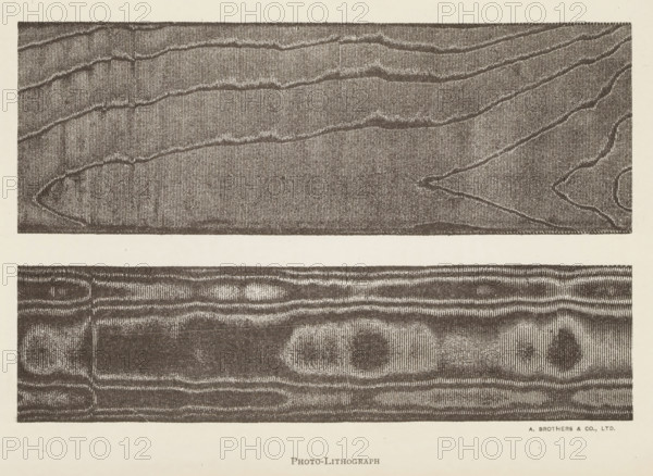 Two transfers from a screen printing frame, page, photomechanical print, inscription: 'photo-lithograph', printmaker: A. Brothers & Co., c. 1889 - in or before 1899, photographer, paper, photolithography, height 150 mm x width 225 mm, Prints opposite page 156., printing, applied arts, silk (material, textile industry), A large rectangular sheet with two horizontal woodgrain panels separated by a blank strip, the top panel showing elongated, wavy grain lines and textured vertical striations, the lower panel displaying a different woodgrain pattern with rounded knot-like shapes and horizontal striations, all rendered in a monochrome, stippled lithographic style on an off-white background.