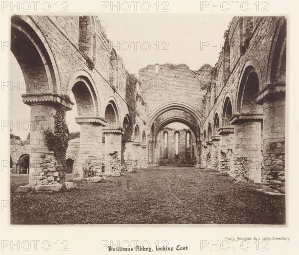 Buildwas Abbey, looking east, Interior of the ruins of Buildwas Abbey, page, photomechanical print, photographer: J. Laing, Buildwas, cliché maker: anonymous, c. 1867 - in or before 1877, Cheshire (county), paper, collotype, photoprint, height 150 mm x width 195 mm, ruin of church, monastery, parts of church interior: nave, A sepia-toned photograph of a ruined stone building showing a long central aisle flanked by rows of large arches supported by thick round columns, with scalloped decorative bands near the tops of some columns and ivy growing on several of the stone surfaces; the far end shows a partial wall with tall narrow window openings and layered archways framing the view, while the grassy floor extends toward the background and chipped and weathered stone blocks form the walls and bases throughout the scene.