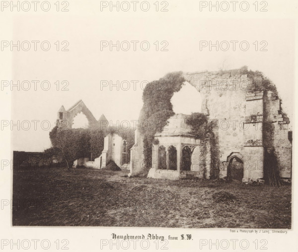 Haughmond Abbey from SW, View of the ruins of Haughmond Abbey, page, photomechanical print, photographer: J. Laing, Haughmond Abbey, cliché maker: anonymous, c. 1867 - in or before 1877, Shrewsbury, paper, collotype, photoprint, height 145 mm x width 194 mm, ruin of church, monastery, A sepia-toned photograph shows the ruins of a stone abbey with weathered walls and arched openings partly covered by climbing vegetation. In the foreground there is uneven ground with sparse grass and patches of bare soil. To the right a large stone wall has a rounded archway and a rectangular window opening, and below it a smaller arched doorway with a metal gate. Near the center an ornate set of window tracery remains intact beneath a crumbling upper wall, and ivy grows over parts of the masonry. To the left the remnants of another wall with a pointed arch and a small tower-like structure rise above dense shrubs and trees. The sky above is pale and mostly empty.