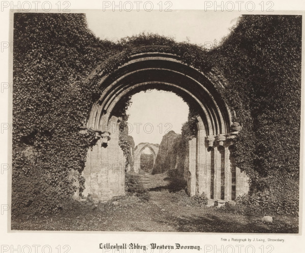 Lilleshull Abbey, Western doorway, View of the ruins of Lilleshall Abbey, page, photomechanical print, photographer: J. Laing, Shropshire, cliché maker: anonymous, c. 1867 - in or before 1877, paper, collotype, photoprint, height 146 mm x width 193 mm, ruin of church, monastery, Lilleshall Abbey, A sepia-toned photograph showing a large stone archway covered in dense climbing ivy, with layered concentric arch ribs and carved capitals on stone columns; beyond the archway a grassy path leads past additional ruined arches and high trimmed hedges, and the ground in the foreground is textured with grass and small stones.