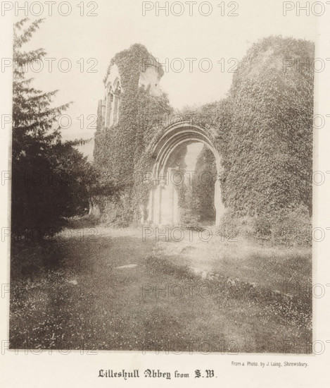 Lilleshull Abbey from SW, View of the ruins of Lilleshall Abbey, page, photomechanical print, photographer: J. Laing, Shropshire, cliché maker: anonymous, c. 1867 - in or before 1877, paper, collotype, photoprint, height 175 mm x width 143 mm, ruin of church, monastery, Lilleshall Abbey, A faded photograph of an old stone archway and ruins partially covered in dense ivy, with layered rounded arches and tall vertical openings visible behind the vegetation, framed by large leafy trees on the left and more ivy-covered masonry on the right, a grassy foreground leading up to the arch with scattered small flowers and a narrow path, all shown in a monochrome, grainy tone.