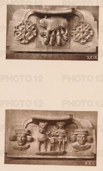 Two woodcarvings in Worcester Cathedral, page, photomechanical print, Above a suckling pig between leaf motifs, below a king with child and a horse between two faces., number: 'XXIX, XXX', c. 1863 - in or before 1873, paper, Woodburytype, Woodburytypie, height 306 mm x width 244 mm, ruler, sovereign, interior of church, piglet, suckling pig, carving, applied arts, A vertical, sepia-toned photograph shows two rectangular carved wooden panels stacked with a blank space between them. The upper panel features a central carved pig standing over a cluster of carved teats or tassel-like forms, flanked on each side by circular rosette carvings with petal-like shapes and rounded protrusions, all set within a framed wooden backing. The lower panel displays a carved scene with a crowned human figure holding an object, standing beside a horse with a decorative bridle and a smaller human figure at their feet, flanked on both sides by large sculpted heads wearing wide, layered headpieces and decorat...