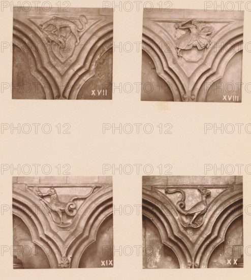 Four woodcarvings in an arcade of Worcester Cathedral, page, photomechanical print, Top left a griffin fighting an animal, top right a knight on horseback, bottom left a mythical creature, bottom right a basilisk., number: 'XVII, XX', c. 1863 - in or before 1873, paper, Woodburytype, Woodburytypie, height 305 mm x width 244 mm, interior of church, griffin (lion, eagle), 'Griffo' (Ripa), carving, applied arts, basilisk (cock with posterior of snake), Four rectangular sepia-toned photographs arranged in a grid show close-up views of carved stone architectural panels. Each photograph centers on a V-shaped grooved molding meeting at a carved boss. The top left panel features a stylized animal with a curved tail perched above the molding, its body elongated and limbs gripping the carved surface. The top right panel shows a figure wearing flowing garments leaning forward above the V-shaped molding, one arm extended. The bottom left panel depicts an animal with a curled tail and a raised fore...