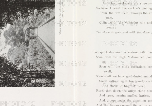 Path (presumably) in a rose garden, page, photomechanical print, inscription: ''Rose that down the Alleys shine afar, And open, jasmine-muffled lattices.'', maker: Henry W. Taunt, United Kingdom, c. 1907 - in or before 1912, paper, autotype, height 78 mm x width 131 mm, garden, public road, A grayscale image of an open book showing a left-hand page with a vertical photographic illustration of a tree-lined path framed by foliage and trellised vines, and a right-hand page with printed lines of text; the pages meet at a visible gutter crease and the right page has faint blemishes and a slightly uneven edge.