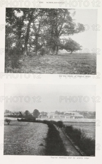 Foothills of Bagley Wood in Oxfordshire and a view of South Hinksey, page, photomechanical print, inscription: ''On the skirts, wintry ridge.'', maker: Henry W. Taunt, United Kingdom, c. 1907 - in or before 1912, paper, autotype, height 223 mm x width 143 mm, Prints on page 19., forest, wood, low hill country, Oxfordshire, South Hinksey, A vertical sheet shows two black-and-white landscape photographs stacked one above the other, each framed by white margins. The top photograph depicts a stand of large trees with dense canopies at the edge of an open grassy area, tree trunks and undergrowth visible in the shaded foreground and an open plain extending to the right beneath a pale sky. The bottom photograph shows a rural scene with a narrow dirt track flanked by hedgerows running away from the viewer through fields, distant clusters of trees and gentle rolling land visible under a bright, featureless sky.
