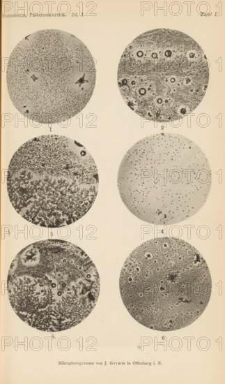 Six microscopic enlargements of minerals, page, photomechanical print, Image 1, 2 and 3 is sulphur, 4 is globulite, 5 is sulfur pulmonite and 6 is globulite., number: '1, 6', number: 'Tafel I', photographer: Emil Cohen, Greifswald, cliché maker: J. Grimm, Offenburg, c. 1880 - in or before 1885, Baden-Württemberg, Mecklenburg-Vorpommern, paper, collotype, photoprint, height 233 mm x width 149 mm, minerals and metals, A vertical sheet shows six circular grayscale photomicrograph images arranged in two columns and three rows, each circle containing varied textures and patterns of dots, speckles, rings, and branching structures; the top left circle has a fine granular field with a few irregular darker shapes, the top right circle features concentric ring-like spots among a textured background, the middle left circle displays dense clustered branching formations beneath a more granular upper area, the middle right circle shows a sparser field of small dots on a lighter background, the botto...
