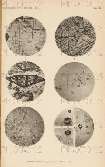 Six microscopic enlargements of minerals, page, photomechanical print, Image 1 is augite, 2 is epidote, 3 is titanite, 4, 5 and 6 are fluorosoatrium crystal., number: 'Table XI', number: '1, 6', photographer: Emil Cohen, Greifswald, clichémaker: J. Grimm, Offenburg, c. 1880 - in or before 1885, Baden-Württemberg, Mecklenburg-Western Pomerania, paper, collotype, photoprint, height 233 mm x width 149 mm, minerals and metals, A vertical page with six circular grayscale photomicrograph images arranged in two columns and three rows, each circle showing different textures and patterns; the top left circle has a light background with thin dark straight and slightly irregular intersecting lines and a darker irregular blotch near the top edge, the top right circle has a dense mottled texture with numerous diagonal dark streaks and irregular darker patches, the middle left circle shows a darker triangular lattice-like shape over a mottled lighter background, the middle right circle has a smooth ...