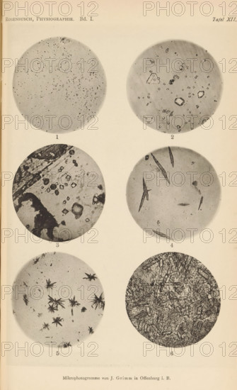 Six microscopic enlargements of minerals, page, photomechanical print, Image 1 is apophyllite, 2 is orthoclase, 3 is zinnwaldite, 4, 5 and 6 is fluorosodium crystal., number: 'Tafel XII', number: '1, 6', photographer: Emil Cohen, Greifswald, cliché maker: J. Grimm, Offenburg, c. 1880 - in or before 1885, Baden-Württemberg, Mecklenburg-Vorpommern, paper, collotype, photoprint, height 233 mm x width 149 mm, minerals and metals, A vertical page showing six circular grayscale microscope images arranged in two columns and three rows on a light background, each circle containing different granular or crystalline textures and shapes; the top of the page has small printed words at left and right, there are small printed numerals below each circular image, and a line of small printed text centered at the bottom of the page.