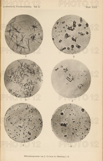 Six microscopic enlargements of minerals, page, photomechanical print, Image 1 is gypsum crystal, 2 is cesium crystal, 3 is magnesium phosphate crystal, 4 is magnesium phosphate crystal, 5 is ammonia crystal and 6 is zirconium crystal., number: 'Tafel XIII', number: '1, 6', photographer: Emil Cohen, Greifswald, cliché maker: J. Grimm, Offenburg, c. 1880 - in or before 1885, Baden-Württemberg, Mecklenburg-Vorpommern, paper, collotype, photoprint, height 233 mm x width 149 mm, minerals and metals, A vertical page with six circular grayscale microscopic images arranged in two columns and three rows, each circle showing different particle or crystal patterns; the top left circle contains needlelike radial clusters and straight elongated rods, the top right shows scattered irregular rounded clusters and small specks, the middle left has dense angular shardlike fragments clustered throughout, the middle right displays larger geometric crystal shapes with some rectangular and crosslike pieces...