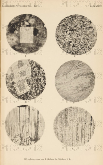 Six microscopic enlargements of minerals, page, photomechanical print, Image 1 is nepheline, 2 is andalusite, 3 is chiastolite, 4 is sillimanite, 5 is bronzite and 6 is enstatite., number: 'Tafel XVII', number: '1, 6', photographer: Emil Cohen, Greifswald, cliché maker: J. Grimm, Offenburg, c. 1880 - in or before 1885, Baden-Württemberg, Mecklenburg-Vorpommern, paper, collotype, photoprint, height 233 mm x width 149 mm, minerals and metals, A vertically oriented page showing six circular grayscale photomicrographs arranged in two columns and three rows on a pale background, each circle containing distinct textured patterns; the top left circle shows a dark mottled field with a lighter square concentric pattern near its center, the top right circle displays a dense granular and fragmented texture with irregular light and dark patches, the middle left circle contains two lighter square shapes set against a speckled darker background, the middle right circle features sweeping linear stria...