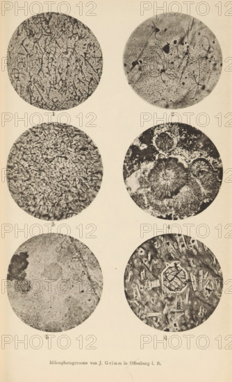 Six microscopic enlargements of minerals, page, photomechanical print, Image 1 is micaceous lime in obsidian, 2 is trichite in obidian, 3 is microlite and micaceous lime in obsidian, 4 is obsidian, 5 is cummulite and 6 is augite., number: '1, 6', number: 'Tafel II', photographer: Emil Cohen, Greifswald, cliché maker: J. Grimm, Offenburg, c. 1880 - in or before 1885, Baden-Württemberg, Mecklenburg-Vorpommern, paper, collotype, photoprint, height 233 mm x width 149 mm, minerals and metals, A vertical page shows six circular grayscale microscopic images arranged in three rows and two columns against a light background, each circle containing different textured patterns; the top left circle displays a dense tangled network of thin dark lines over a mottled lighter ground, the top right circle contains several elongated curved filament-like shapes and small dark irregular spots on a grainy background, the middle left circle shows many short rod-like and angular fragments scattered over a mo...