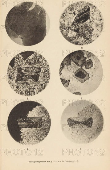 Six microscopic enlargements of minerals, page, photomechanical print, Image 1, 2 and 3 is biotite, 4, 5 and 6 is ottrelite., number: '1, 6', number: 'Tafel XXII', photographer: Emil Cohen, Greifswald, cliché maker: J. Grimm, Offenburg, c. 1880 - in or before 1885, Baden-Württemberg, Mecklenburg-Vorpommern, paper, collotype, photoprint, height 233 mm x width 149 mm, minerals and metals, A vertical sheet showing six circular grayscale close-up images arranged in two columns and three rows against a light background, each circle containing textured, granular or fibrous patterns and irregular dark shapes within varying contrast; the top left circle displays a mostly dark textured area with lighter fringes, the top right circle shows lighter mottled texture with two elongated dark, striated fragments, the middle left circle contains a rectangular dark block set against a speckled background, the middle right circle features several angular, faceted dark forms amid a lighter speckled field,...