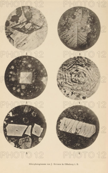 Six microscopic enlargements of minerals, page, photomechanical print, Image 1 is titanite, 2 is sanidine, 3 is sanidine, 4 is orthoclase, 5 is phonolite and 6 is phonolite., number: '1, 6', number: 'Tafel XXIII', photographer: Emil Cohen, Greifswald, cliché maker: J. Grimm, Offenburg, c. 1880 - in or before 1885, Baden-Württemberg, Mecklenburg-Vorpommern, paper, collotype, photoprint, height 233 mm x width 149 mm, minerals and metals, A vertically oriented page shows six circular grayscale microscope images arranged in three rows and two columns, each circle containing varied textures and patterns; the top left circle displays angular crystalline shapes and cloudy mottling, while the top right circle shows a layered, featherlike structure with speckled areas along its edge. The middle left circle features a central square-like bright area surrounded by a grainy field with scattered rounded spots, and the middle right circle contains concentric hexagonal banding with irregular dark pat...
