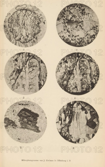 Six microscopic enlargements of minerals, page, photomechanical print, Image 1 is schist, 2 is feldspar, 3 is albite, 4 is albite, 5 is biotite crystal and 6 is plagioclase., number: 'Table IV', number: '1, 6', photographer: Emil Cohen, Greifswald, clichémaker: J. Grimm, Offenburg, c. 1880 - in or before 1885, Baden-Württemberg, Mecklenburg-Western Pomerania, paper, collotype, photoprint, height 233 mm x width 149 mm, minerals and metals, A vertically oriented page showing six circular black-and-white close-up images arranged in two vertical columns and three horizontal rows, each circle containing textured, grainy patterns resembling fractured or layered surfaces with various dark veins, speckles, and irregular shapes; the top left circle shows a roughly circular central mass with intersecting fine lines and lighter surrounding area, the top right circle displays a mix of lighter patches and darker granular clusters with a horizontal darker band, the middle left circle contains elonga...