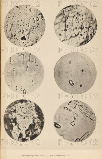 Six microscopic enlargements of minerals, page, photomechanical print, Image 1 is obsidian, 2 is apatite, 3 is rock salt, 4 is smoky quartz, 5 is crystal and quartz and 6 is topaz., number: 'Tafel VI', number: '1, 6', photographer: Emil Cohen, Greifswald, cliché maker: J. Grimm, Offenburg, c. 1880 - in or before 1885, Baden-Württemberg, Mecklenburg-Vorpommern, paper, collotype, photoprint, height 233 mm x width 149 mm, minerals and metals, A vertically oriented page showing three rows of two circular grayscale photomicrographs each, arranged in two columns with even spacing; the circles display varied textured patterns including speckles, elongated oval shapes, dark irregular blotches, linear streaks, and ring-like forms, with some circles showing dense granular areas and others appearing smoother with isolated dark shapes; faint numbering appears beneath each circle and a narrow margin borders the page.