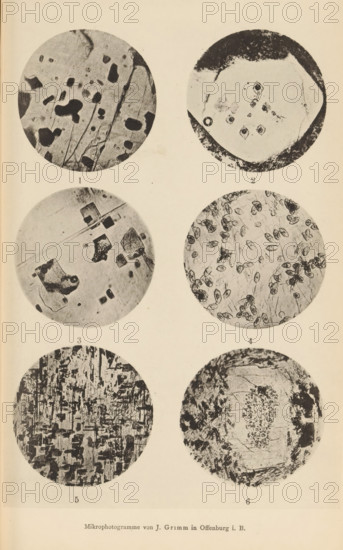 Six microscopic enlargements of minerals, page, photomechanical print, Image 1 is labradorite, 2 is quartz, 3 is oligoclase, 4 is heulandite, 5 is hypersthene and 6 is feldspar and trachyte., number: '1, 6', number: 'Tafel VII', photographer: Emil Cohen, Greifswald, cliché maker: J. Grimm, Offenburg, c. 1880 - in or before 1885, Baden-Württemberg, Mecklenburg-Vorpommern, paper, collotype, photoprint, height 233 mm x width 149 mm, minerals and metals, A vertical sheet with six circular black-and-white photographic discs arranged in three rows and two columns, each disc showing different textured microscopic patterns; the top left disc contains irregular dark blotches and thin linear scratches on a lighter background, the top right disc shows a paler central area with darker irregular rim and small clustered dark shapes near the center, the middle left disc displays angular dark fragments and faint diagonal streaks on a lighter field, the middle right disc is filled with numerous small o...