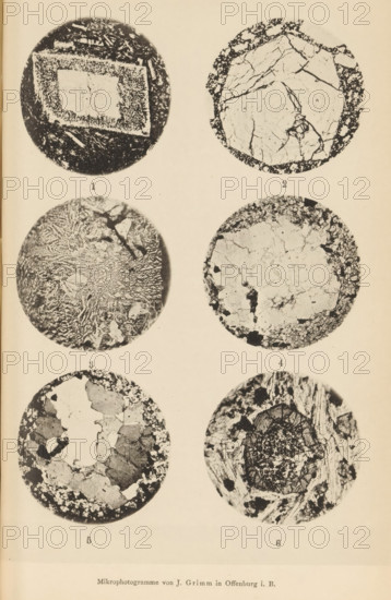 Six microscopic enlargements of minerals, page, photomechanical print, Image 1 is feldspar, 2 is leucite in lava, 3 is granophyry, 4 is granite porphyry, 5 is granite porphyry, and 6 is plagioclase., number: '1, 6', number: 'Table VIII', photographer: Emil Cohen, Greifswald, cliché maker: J. Grimm, Offenburg, c. 1880 - in or before 1885, Baden-Württemberg, Mecklenburg-Vorpommern, paper, collotype, photoprint, height 233 mm x width 149 mm, minerals and metals, A vertical page showing six circular monochrome photomicrographs arranged in two columns and three rows, each circle containing varied granular, cracked, or textured patterns with dark outer rims and lighter central areas, the top left circle featuring a rectangular lighter patch surrounded by darker mottling, the top right circle showing a cracked lighter interior with a darker irregular border, the middle left circle filled with intricate wavy and fibrous textures, the middle right circle displaying a mottled cracked surface wit...
