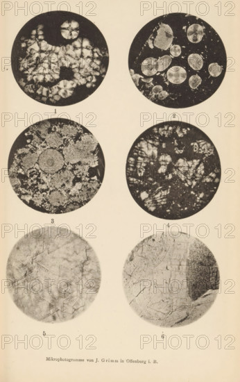 Six microscopic enlargements of minerals, page, photomechanical print, Image 1 is diabase, 2 is oölite, 3 is quartz, 4 is siderite, 5 is fluorite, and 6 is scapolite., number: 'Tafel IX', number: '1, 6', photographer: Emil Cohen, Greifswald, cliché maker: J. Grimm, Offenburg, c. 1880 - in or before 1885, Baden-Württemberg, Mecklenburg-Vorpommern, paper, collotype, photoprint, height 233 mm x width 149 mm, minerals and metals, A vertical sheet showing six circular black-and-white microscopic images arranged in two columns and three rows, each circle containing distinct grainy or crystalline textures and patterns; the top left circle displays clustered flower-like bright shapes on a dark background, the top right circle shows several light circular discs of varying sizes against a dark field, the middle left circle contains a mottled granular formation with a prominent central ring-like structure, the middle right circle presents irregular bright patches and thin vein-like lines on a dar...