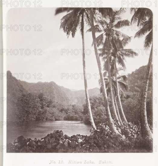 View of a lake in Tahiti, Hitiaa Lake. Tahiti, page, photomechanical print, number: 'No. 12.', photographer: Henry Stuart-Wortley, Tahiti, cliché maker: Meisenbach's Autotype Company, printer (person): Meisenbach's Autotype Company, 1880, Meisenbach's Autotype Company, photographer, French Polynesia, paper, collotype, photoprint, height 139 mm x width 140 mm, lake, trees: palm-tree, A sepia-toned photograph showing a calm body of water bordered by dense foliage and tall, slender palm trees leaning toward the water, with clustered leafy plants in the foreground, a range of forested hills rising in the background, and a pale sky above.