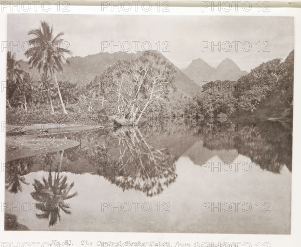 View of the mountains on Tahiti, The Central Peaks, Tahiti, from the sea-shore, page, photomechanical print, number: 'No. 31.', photographer: Henry Stuart-Wortley, cliché maker: Meisenbach's Autotype Company, printer (person): Meisenbach's Autotype Company, 1880, Meisenbach's Autotype Company, photographer, French Polynesia, paper, collotype, photoprint, height 126 mm x width 167 mm, trees: palm-tree, mountains, A sepia-toned landscape shows a calm body of water reflecting trees and distant jagged mountains, with a shoreline of sand and vegetation in the foreground, tall palm trees and other leafy trees along the shore, a cluster of pale-trunked trees with exposed branches near the water’s edge, dense foliage covering the base of the mountains, and the mirrored shapes of trees and peaks visible in the smooth surface of the water.