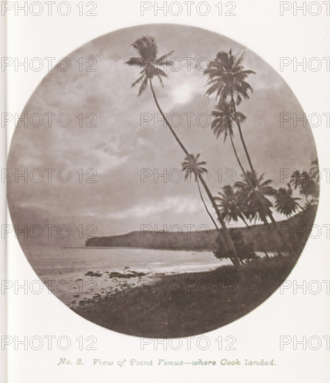 View of a beach, Point Venus, with palm trees on Tahiti, View of Point Venus - where Cook landed, page, photomechanical print, number: 'No. 2.', photographer: Henry Stuart-Wortley, Tahiti, cliché maker: Meisenbach's Autotype Company, printer (person): Meisenbach's Autotype Company, 1880, Meisenbach's Autotype Company, photographer, French Polynesia, paper, collotype, photoprint, height 145 mm x width 145 mm, beach, trees: palm-tree, A circular sepia-toned photograph showing a coastal scene with tall, slender palm trees leaning toward the center, their fronds silhouetted against a cloudy sky. Along the horizon a low headland or cliff projects into the water, and below it a calm shoreline with scattered rocks meets the sea. The foreground shows a darker strip of beach and vegetation, and the overall image has a soft, vintage tonal quality.
