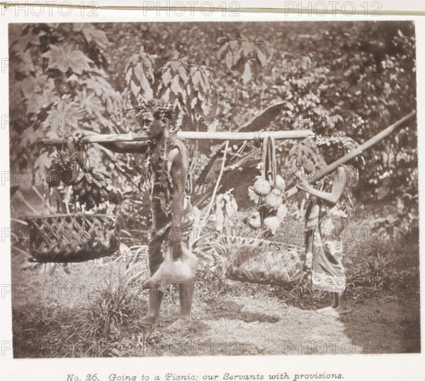 Going to a Picnic: our Servants with provisions, Man and woman with food for a picnic in Tahiti, page, photomechanical print, number: 'No. 26.', photographer: Henry Stuart-Wortley, Tahiti, cliché maker: Meisenbach's Autotype Company, printer (person): Meisenbach's Autotype Company, 1880, Meisenbach's Autotype Company, photographer, French Polynesia, paper, collotype, photoprint, height 137 mm x width 168 mm, picnic, alfresco, 'déjeuner sur l'herbe', A sepia photograph showing two people standing outdoors among dense foliage, each carrying a long horizontal pole across their shoulders from which woven baskets and clusters of fruit hang, one person facing sideways with a decorative headpiece and patterned cloth around the waist while holding a carcass, the other person holding the end of a pole and wearing a patterned garment and a head covering made of plant material, tall leafy plants fill the background and grass covers the ground beneath their bare feet.