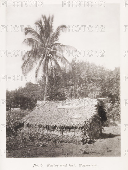 Man from Tahiti in front of his home in Papeari, Native and hut. Paeuriri, page, photomechanical print, number: 'No. 6.', photographer: Henry Stuart-Wortley, Papeari, cliché maker: Meisenbach's Autotype Company, printer (person): Meisenbach's Autotype Company, 1880, Meisenbach's Autotype Company, photographer, French Polynesia, Tahiti, paper, collotype, photoprint, height 169 mm x width 126 mm, trees: palm-tree, hut, cabin, lodge, A tall palm tree rises above dense foliage, its fronds spreading outward, behind a small structure with a thatched roof made of layered dried leaves and woven walls; a person sits on the ground in front of the hut with knees drawn up, and vegetation and bare ground surround the scene.