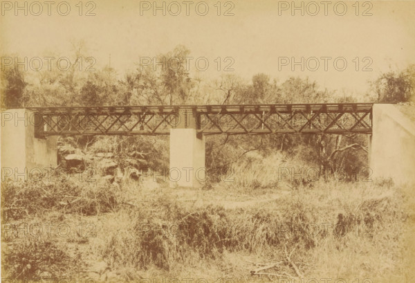 Railway bridge in Mozambique, Ultima secção. - Ponte no K. º84, 770, Caminho de ferro de Lourenço Marques, photograph, page, number: '40', photographer: Manuel Romão Pereira, Mozambique, printer (person): João Francisco Camacho, Lisbon, c. 1886 - c. 1895, printer (person), paper, albumen print, height 113 mm x width 164 mm, landscape with bridge, viaduct or aqueduct, railway, train, A sepia-toned photograph showing a low metal truss bridge supported by three rectangular concrete piers, with lattice metalwork along the sides and a flat top surface; dense scrub, dry grass, and leafless or sparsely leaved trees surround and partially obscure the bridge, with tangled branches and rocky ground visible beneath and around it, and an empty pale sky occupying the upper portion of the image.
