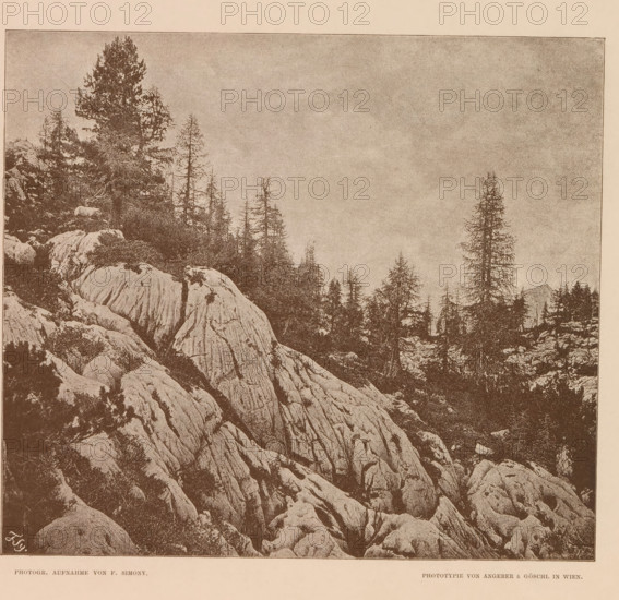 Slope in Austria, Rundhöcker am Eingange der Wiesalpe, page, photomechanical print, number: 'V.', photographer: Friedrich Simony, Salzburg (city), cliché maker: Angerer & Göschl, C., Vienna, publisher: Eduard Hölzel, 1888, Lower Austria, paper, autotypie, height 175 mm x width 195 mm, low hill country, A sepia-toned image showing a rocky mountainside with large textured rock formations in the foreground and middle ground, scattered low shrubs and vegetation among the rocks, a group of tall slender conifer trees rising along the ridge on the left and center, a single taller conifer on the right edge, a grainy sky occupying the upper portion, and a narrow light border around the picture.