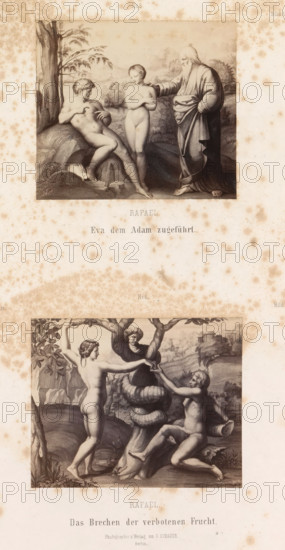 Photo reproductions of prints after frescoes depicting Adam and Eve by Raphael for the loggias in the Vatican, Rafael Eva dem Adam Zugeführt. Das Brechen der verbotenen Frucht, photograph, reproduction, page, number: 'No 5. No 6. Bild 1. Bild 2. II. Loge.', photographer: Gustav Schauer, Berlin, after print by anonymous, after painting by Rafaël, c. 1851 - in or before 1861, after print by, paper, albumen print, height 254 mm x width 190 mm, Temptation and Fall (scenes with both Adam and Eve), Eve offers the fruit to Adam, A vertically oriented sheet shows two framed grayscale classical-style scenes stacked with wide margins. In the top scene three figures stand outdoors beside a tree and rocks: a seated naked male leaning against a rock with a small rabbit at his feet, a standing naked female with arms crossed over her chest, and an older bearded robed man resting a hand on the woman’s shoulder while gazing at the seated man; distant hills and trees form the background. The lower scene...
