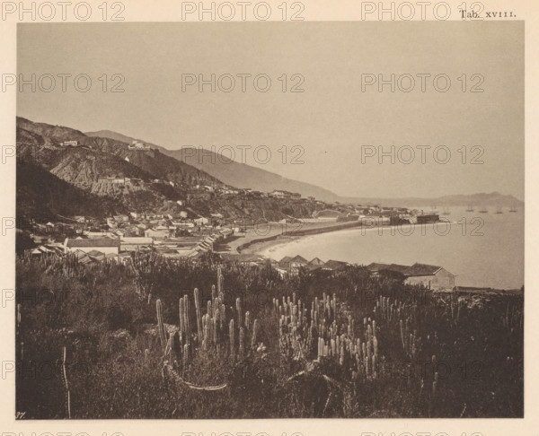 View of La Guaira in Venezuela, page, photomechanical print, number: 'Tab. XVIII.', photographer: Jacobus Rudolphus Neervoort van de Poll (possibly), Venezuela, cliché maker: anonymous, c. 1877 - in or before 1887, paper, collotype, photoprint, height 138 mm x width 176 mm, Print in section at the back., city-view, and landscape with man-made constructions, gulf, bay, plants and herbs: cactus, La Guaira, A coastal landscape viewed from a hillside with tall columnar cacti in the foreground, a cluster of low-roofed buildings and houses stretching along the slope and shoreline, a curved sandy beach bordered by a breakwater and coastal structures, rising rocky hills with additional buildings perched on them, a calm sea with small boats visible near the horizon, and distant hazy mountains under a large pale sky.