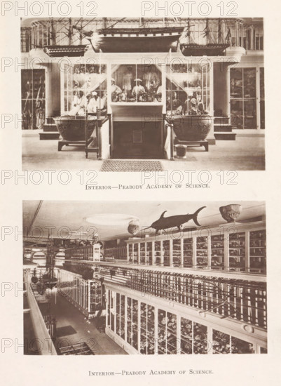 Interior-Peabody Academy of Science, Interior of two halls of the Peabody Academy of Science in Salem, page, photomechanical print, Salem (Massachusetts), maker: Heliotype Printing Company, Boston (Massachusetts), 1879-04, photographer, North America, Massachusetts, paper, photoaquatint, height 241 mm x width 165 mm, Prints opposite page 116., permanent exhibition, museum, Peabody Academy of Science, A vertically split sepia image showing two interior scenes stacked one above the other. The upper scene features a display area with a central counter flanked by large ornate basins on stands and glass cabinets containing figures and objects, mannequins or statues visible behind the counter, and model ships suspended near the ceiling. The lower scene shows a long gallery with tall glass-fronted cabinets lining both sides, a balcony railing along the upper level, a suspended mounted fish above the cabinets, and rows of displayed specimens visible through the cabinet doors.