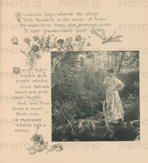 Woman standing on stones in presumably a brook in a forest, page, photomechanical print, photographer: Mary Bartlett, United States of America, cliché maker: anonymous, c. 1884 - in or before 1894, North America, paper, photoaquatint, height 115 mm x width 112 mm, adolescent, young woman, maiden, forest, wood, brook, A sepia-toned page shows a rectangular photographic image of a young woman standing on rocks in a wooded, grassy area, wearing a patterned, flowing dress with puffed sleeves and a sash, one hand on her hip and her head turned slightly downward; around the photo are ink illustrations of flowers, potted plants, a butterfly, and a large dragonfly, and decorative handwritten-style lines of text occupy the top and left margins.
