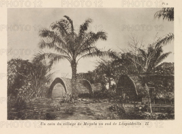 A coin du village de Mayala au sud de Léopoldsville, Wooden houses in Mayala, page, photomechanical print, number: 'Pl. 9.', photographer: Franz Thonner, Mayala, cliché maker: Stengel & Markert, Dresden, 1896, Saxony, paper, collotype, photoprint, height 110 mm x width 160 mm, housing, facade (of house or building), A sepia-toned scene showing tall palm trees with feathery fronds rising above rounded thatched huts with arched entrances, surrounded by dense foliage and bare-branched trees, with a foreground of uneven, grassy ground and a simple woven fence visible at the edge.