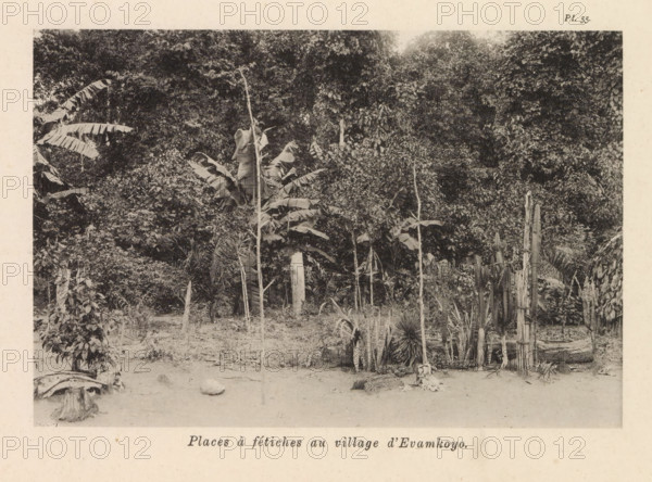 Square in Evamkoyo, Places à fétiches au village d'Evamkoyo, page, photomechanical print, number: 'Pl. 55.', photographer: Franz Thonner, Congo (country), cliché maker: Stengel & Markert, Dresden, 1896, Franz Thonner, Stengel & Markert, photographer, cliché maker, Saxony, paper, collotype, photoprint, height 110 mm x width 161 mm, village square, A monochrome photograph of a dense, vegetated scene showing a foreground of bare earth with scattered small plants and a few upright wooden posts, a central area with tall, slender stalks and broad-leaved plants including large leaves that resemble banana leaves, and a background filled with thick foliage and overlapping tree canopies, with a few rough wooden structures and grouped vertical plant stalks visible near the right side.