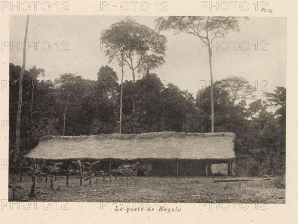 Exterior of the post office in Bogolo, Le poste de Bogolo, page, photomechanical print, number: 'Pl. 63.', photographer: Franz Thonner, Congo (country), cliché maker: Stengel & Markert, Dresden, 1896, Saxony, paper, collotype, light printing, height 109 mm x width 160 mm, facade (of house or building), post-office, A wide thatched roof structure spans the middle of the image with a rough textured surface and plant growth along its edge, supported by vertical posts that create shaded open spaces beneath; in front of the structure a cleared foreground shows small planted shoots with large leaves emerging from the soil and scattered fallen leaves; behind and above the roof a dense backdrop of tall trees with slender trunks and leafy crowns rises against a pale sky, with some taller trees extending higher and thinner than others and a variety of foliage densities forming a layered treeline.