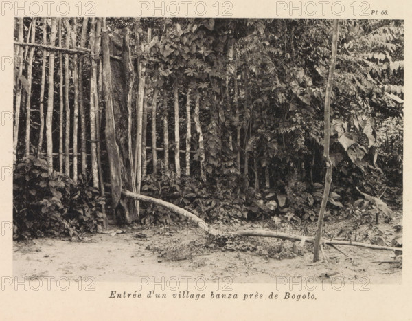 Fence around a Banza village near Bogolo, Entrée d'un village banza près de Bogolo, page, photomechanical print, number: 'Pl. 66.', photographer: Franz Thonner, Congo (country), cliché maker: Stengel & Markert, Dresden, 1896, Franz Thonner, Stengel & Markert, photographer, cliché maker, Saxony, paper, collotype, photoprint, height 110 mm x width 161 mm, fence, wall, eel, A black-and-white photograph showing a dense arrangement of vertical wooden poles forming a simple fence set against thick foliage, with vines and large leafy plants growing around and between the poles, a few horizontal wooden rails and a curved fallen branch crossing the sandy ground in front, and a narrow upright slender trunk positioned near the right foreground.
