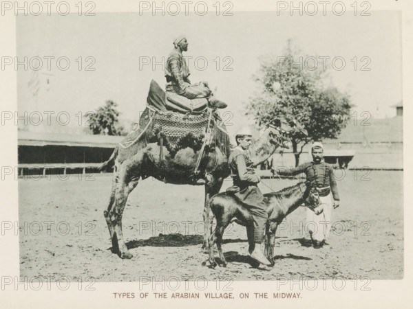 Three men with a camel and a donkey at the World's Columbian Exposition in Chicago in 1893, Types of the Arabian village, on the Midway, page, photomechanical print, number: 'Plate 113', photographer: Charles Dudley Arnold, Chicago, photographer: HD Higinbotham, cliché maker: anonymous, 1893, Charles Dudley Arnold, HD Higinbotham, photographer, cliché maker, North America, Illinois, paper, collotype, photoprint, height 134 mm x width 190 mm, ass, donkey, hoofed animals: camel, world fair, world exhibition, World's Columbian Exposition, A sepia-toned photograph shows a large camel standing with ornate saddle coverings and tassels while a man in striped clothing and a headwrap sits atop cushions on its back; in front of the camel a young man wearing a cap sits on a smaller donkey holding its reins, and another man wearing a fitted jacket and loose trousers stands beside them holding a lead attached to the camel's head; the scene takes place on a flat open area with a long low building an...