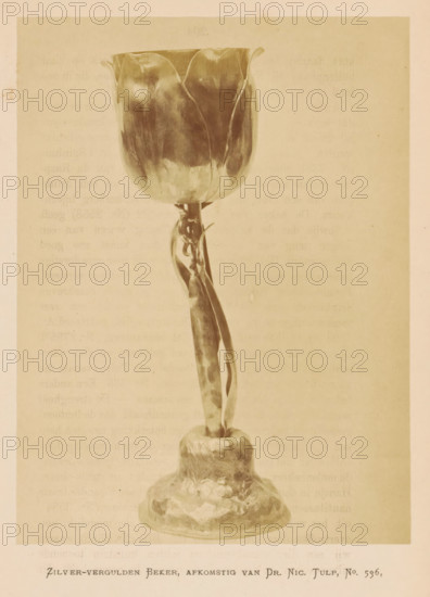 Silver-gilded cup, from Dr. Nic. Tulp, Silver-gilded cup from Nicolaes Tulp, photograph, page, number: 'No. 536.', photographer: Pieter Oosterhuis, Amsterdam, 1876, paper, albumen print, height 166 mm x width 124 mm, drinking-vessel in unusual shape, Historical Exhibition Amsterdam, Oudemannenhuis (Amsterdam), Period, A single tall tulip-shaped goblet with a smooth rounded bowl and scalloped rim sits atop a slender twisted stem that rises from a textured bulbous base; the object is rendered in a monochrome sepia tone and fills most of the central vertical space against a plain lighter background.