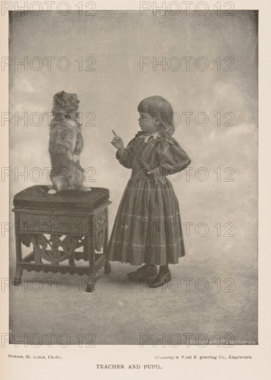teacher and pupil, Portrait of an unknown girl teaching the dog a trick, page, photomechanical print, inscription: 'Crosscup & West Eng CO. Phila', photographer: Strauss, cliché maker: Crosscup & West Engraving Co., Philadelphia, 1887 - 1907, North America, paper, autotype, height 153 mm x width 115 mm, training of dogs, girl (child between toddler and youth), A sepia-toned image of a young girl standing beside a small ornate wooden table with a cushioned top, the girl pointing a finger toward a long-haired dog that is standing on its hind legs on the cushion; the girl wears a dress with a high collar and a full skirt, her hair cut straight with bangs, and she has one hand on her hip while looking at the dog; the table has carved decorative panels and short legs; the dog faces the girl with its front paws slightly raised; the background is plain and softly shaded.