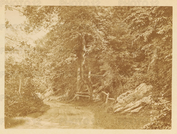 View of a country road in a forest, photograph, page, photographer: JC Browne, photographer: Hugh Davids, c. 1861 - in or before 1866, paper, albumen print, height 116 mm x width 157 mm, behind semi-transparent cover., forest, wood, road, path, A narrow dirt path runs through a wooded area with dense trees and leafy foliage on both sides, a simple wooden fence with horizontal rails is visible near the base of a tree beside the path, a large rock formation and scattered stones sit along the right edge, low grass and undergrowth border the path, and branches and leaves form a canopy overhead.