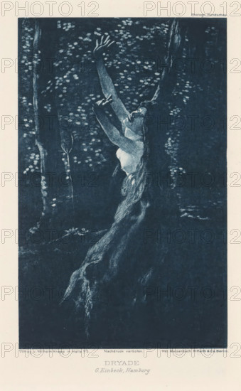View of a tree nymph, Dryad, page, photomechanical print, photographer: George Einbeck, cliché maker: Meisenbach, Riffarth & Cie., Berlin, publisher: Wilhelm Knapp Verlag, Halle an der Saale, c. 1893 - in or before 1898, Saxony-Anhalt, paper, photoaquatint, height 154 mm x width 100 mm, Print two pages before page 226., (Hama)dryads, forest- and tree-nymphs, 'Driadi & Hamadriadi' (Ripa), A monochrome illustration shows a female figure emerging from or merging with a tree trunk, her long hair flowing down and blending into the bark and roots, her torso and arms reaching upward toward a canopy of leaves and branches, her face tilted up with closed eyes, surrounded by dark forest background with scattered light-toned leaf clusters and vertical tree trunks.