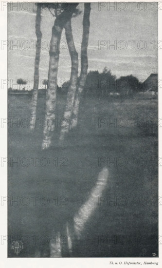 View of some trees with a building in the distance, page, photomechanical print, monogram: 'MR, &Co', photographer: Th. you. O. Hofmeister, cliché maker: Meisenbach, Riffarth & Cie. (possibly), Berlin, printer (person): Wilhelm Knapp Verlag, Halle an der Saale, c. 1895 - in or before 1900, printer (person), Saxony-Anhalt, paper, autotypie, height 235 mm x width 140 mm, landscapes, trees, A tall, narrow black-and-white image showing several slim, light-toned tree trunks rising from a darker foreground into a hazy, textured sky, with a distant row of darker, bushy treetops and the suggestion of a roofline on the horizon; the lower portion of the image is mostly dark with a soft, curving lighter streak running upward from the bottom toward the center.