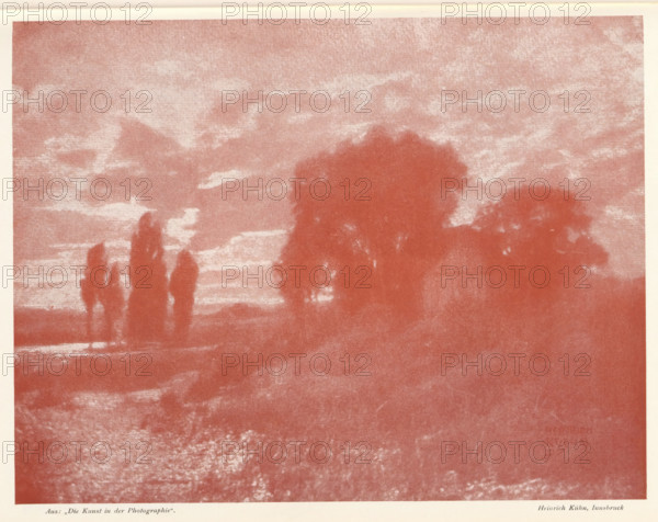 Aus: 'Die Kunst in der Photographie', Reproduction of a painting of a landscape, reproduction, page, photomechanical print, photographer: Heinrich Kühn, cliché maker: anonymous, 1897 - in or before 1901, 1897, paper, autotype, height 170 mm x width 221 mm, landscapes, A grainy monochrome scene in a warm reddish tone showing a landscape with a broad sky filled with soft, streaky clouds and darker, rounded tree silhouettes rising from a low, textured ground, with a cluster of taller slender trees grouped together on the left and larger, denser tree masses toward the center and right, and a lighter band near the horizon separating sky and land.