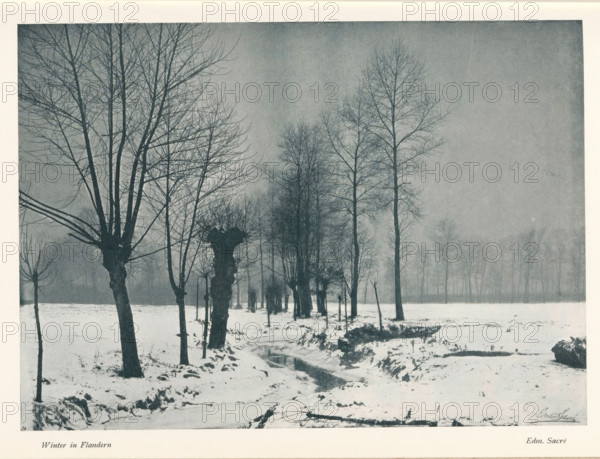 Winter im Flandern, Winter landscape in Flanders, page, photomechanical print, monogram: 'BX', photographer: Edmond Sacré, Flanders, cliché maker: unknown, c. 1896 - in or before 1901, paper, autotypie, height 164 mm x width 229 mm, Print on fifth unnumbered page after page 236., landscapes, snow, A snowy landscape with a row of bare trees extending into the distance, their dark trunks and intricate branches standing out against a pale, overcast sky, a narrow stream winding through the snow in the foreground with uneven banks and small patches of exposed ground, clustered tree trunks with knobbly bases near the left side and more slender, evenly spaced trees fading into the mist toward the background, a flat field covered with snow surrounding the trees and the stream, and a faint treeline visible through the haze on the horizon.