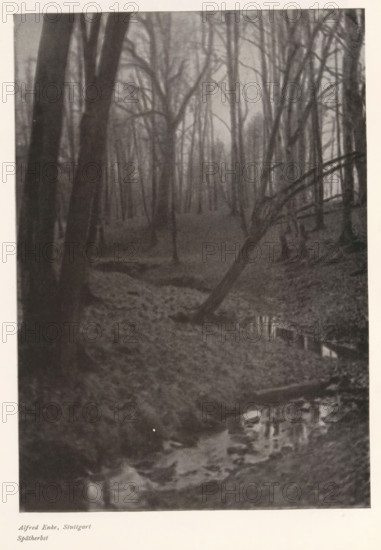 Stream in a forest, Spätherbst, page, photomechanical print, photographer: Alfred Enke, cliché maker: anonymous, c. 1898 - in or before 1903, paper, autotypie, height 212 mm x width 149 mm, forest, wood, brook, A vertical black and white photograph showing a forest scene with tall leafless trees extending upward and receding into the background, a sloping ground covered in leaves and undergrowth, a leaning tree trunk angled across the midground toward the right, a narrow stream or reflective water surface running near the bottom with dark reflections, and a few dense tree trunks in the foreground partially obscuring the view.