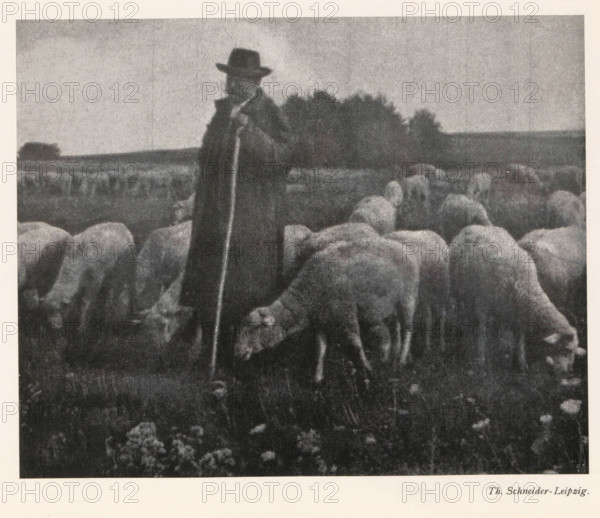 Shepherd with flock, page, photomechanical print, photographer: Th. Schneider, cliché maker: Meisenbach, Riffarth & Cie. (possibly), Berlin, c. 1898 - in or before 1903, clichémaker, paper, autotypie, height 145 mm x width 180 mm, Print on third unnumbered page after page 28., herding, herdsman, herdswoman, shepherd, shepherdess, cowherd, sheep, A grainy black-and-white scene shows a person standing in a field wearing a long dark coat and a wide-brimmed hat, holding a long staff; the person is surrounded by a flock of sheep with woolly bodies facing downward as they graze, and a distant tree line and open sky form the background.