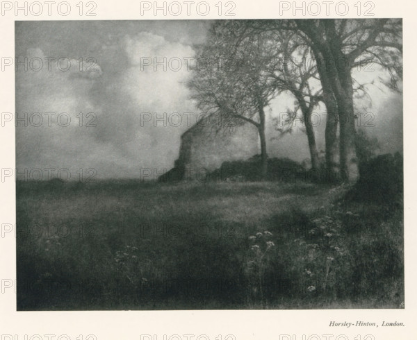 Landscape, with a building in the background, page, photomechanical print, photographer: Alfred Horsley Hinton, cliché maker: Meisenbach, Riffarth & Cie. (possibly), Berlin, c. 1898 - in or before 1903, paper, autotypie, height 141 mm x width 189 mm, Print on fourth unnumbered page after page 262., landscapes, hut, cabin, lodge, A grayscale scene shows a dark foreground with indistinct vegetation and small light-colored flower clusters, a middle ground rising into a low, rounded hill with a lighter patch that could be a structure, and a grouping of tall bare-branched trees on the right whose trunks and interlacing branches extend upward against a cloudy, softly textured sky occupying the left and upper portions of the image.