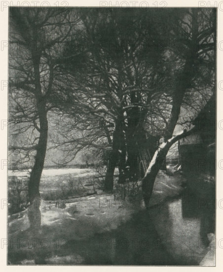 Bei Blutenberg-München, View of the garden of Blutenburg Castle near Munich in the snow, page, photomechanical print, photographer: J. Stelzner, Munich, cliché maker: anonymous, c. 1898 - in or before 1903, Bavaria, paper, autotypie, height 110 mm x width 140 mm, garden, snow, A monochrome scene showing a group of tall bare trees with many intertwining branches occupying the upper and central areas, darker trunks contrasting with a lighter background; the ground appears uneven with patches of snow or pale areas; a slanted trunk or large limb extends from the right toward the center, showing lighter highlights along its length; a vertical edge of a structure or wall is visible at the right margin; the overall image has a grainy texture and a narrow light border around the scene.